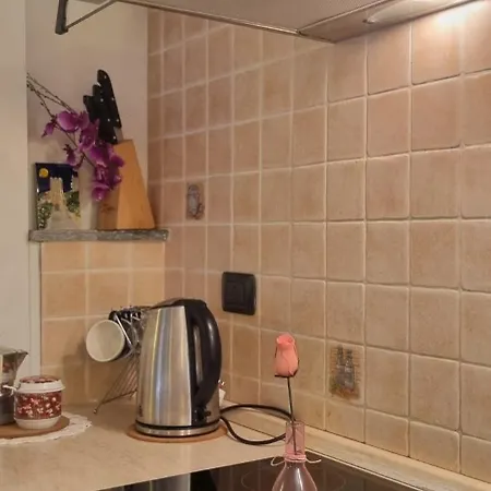 Monolocale In Via Pedonale Appartamento